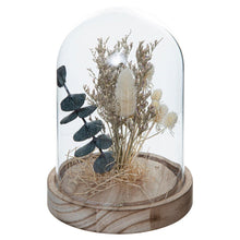 Charger l'image dans la galerie, Fleurs sous cloche Home 4 coloris