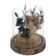 Charger l'image dans la galerie, Fleurs sous cloche Home 4 coloris