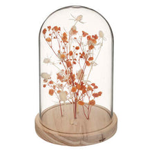 Charger l'image dans la galerie, Fleurs sous cloche Home 4 coloris