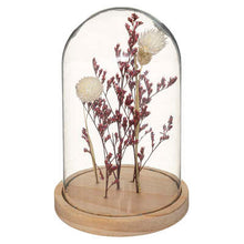 Charger l'image dans la galerie, Fleurs sous cloche Home 4 coloris